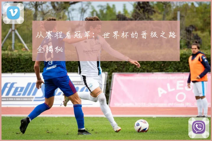 从赛程看冠军：世界杯的晋级之路全揭秘