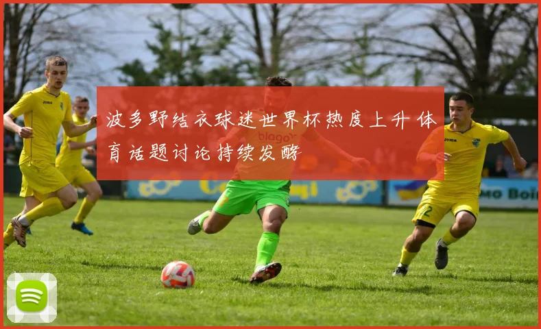 波多野结衣球迷世界杯热度上升 体育话题讨论持续发酵